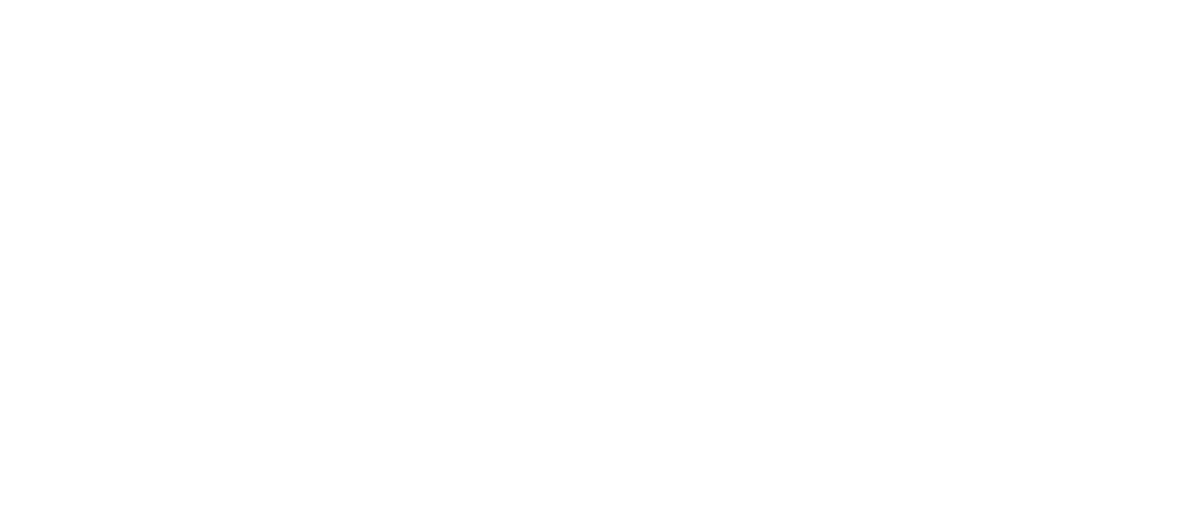 Foix Terre d'Histoire